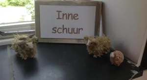 Image of Inne Schuur