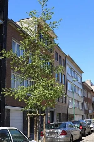 Image of Gai Rossignol