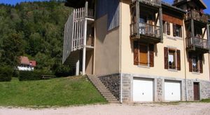Image of Les mimosas