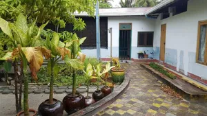 Image of Rehiveli