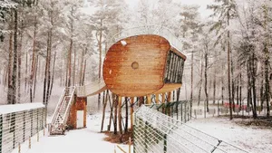 Image of Tree Inn - Das Baumhaushotel