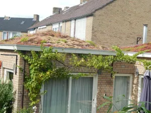 Image of De Tuinkamers