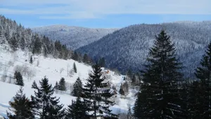 Image of Au Domaine de PY