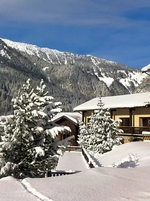 Image of Le Télémark