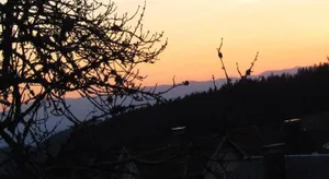Image of Hirschenhäusle