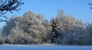 Image of Roder am Eifelsteig