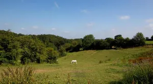 Image of le pré du poney