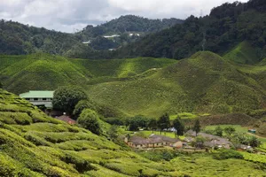 Image of Bricks Homestay @ Cameron Highlands