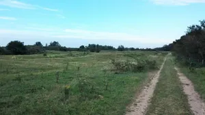 Image of Het Duinhuisje