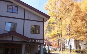 Image of Nagomiyu Shirakaba