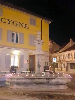 Image of Hôtel du Cygne