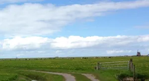 Image of de Vrijheid