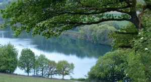 Image of Ferienhaus IRENE