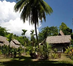 Image of Wild Orchid Resort - Havelock Island