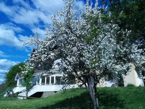Image of Ferienwohnungen Fiala-Köfer
