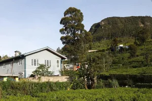 Image of Pedro View Homestay