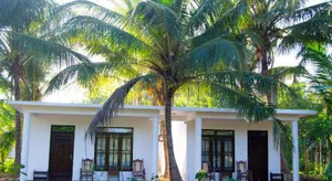 Image of Shady mango villa