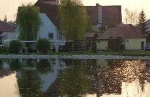 Image of Windfelder am See