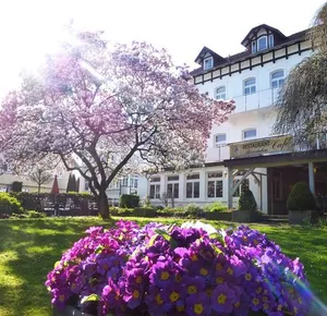 Image of Hotel Villa Luise