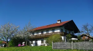 Image of Pichler Roswitha