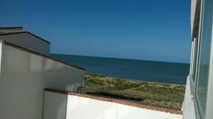 Image of Les Mouettes