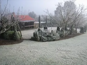Image of Vineyard Cottage BnB