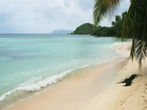 Image of Tarzans Beach Resort
