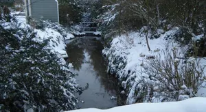 Image of La louisiane