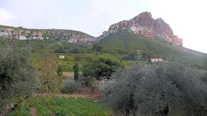 Image of Chez Mamouska