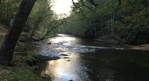 Image of Little River Cabin