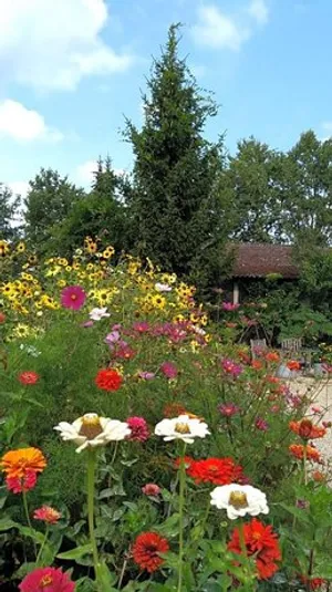 Image of B&B Het mooie uitzicht