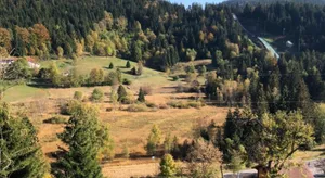 Image of Chalet de la Grimpette au coeur de Gérardmer