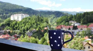 Image of Haus Agnes, Murau