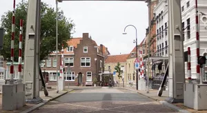 Image of Divino