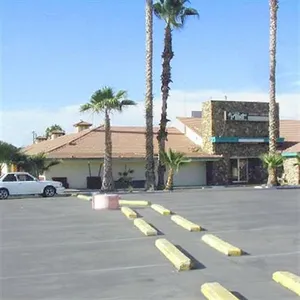 Image of Palm Tree Inn & Conference