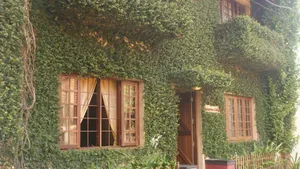Image of Raintree Lodge