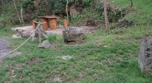 Image of La carole