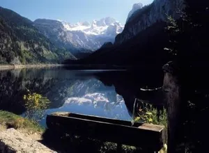 Image of Der Gamsjager