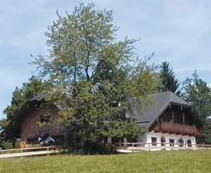 Image of Laimer Urschlag