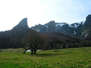 Image of La cle des champs