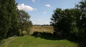 Image of Deichkutscher