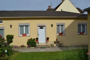 Image of L'Araucaria