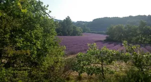 Image of Les Vallons Holiday Home