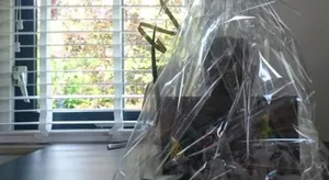 Image of Vakantiebungalow Otterlo