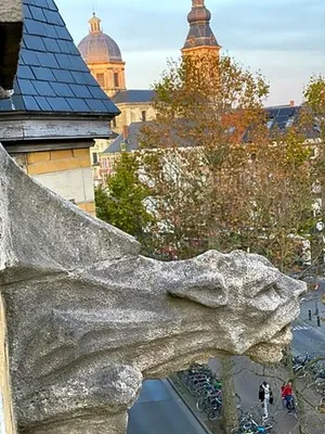 Image of B&B Achilles