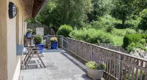 Image of Gerberlaube