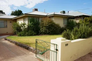 Image of It's on Walnut