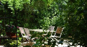 Image of la maison bleue