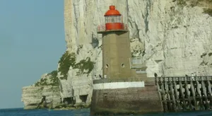 Image of MARTY