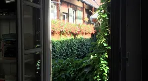 Image of La Grenouillère